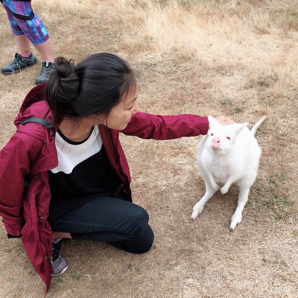 Meet your Posher, Susan